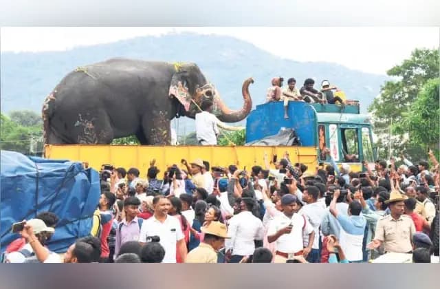 ಯಶಸ್ವಿ ಉತ್ಸವದ ನಂತರ ವಿದಾಯ ಹೇಳಿದ ಮೈಸೂರಿನ ದಸರಾ ಆನೆಗಳು