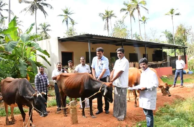 ರಾಸುಗಳಿಗೆ ಕಾಲು ಬಾಯಿ ಜ್ವರಕ್ಕೆ ಉಚಿತ ಲಸಿಕೆ