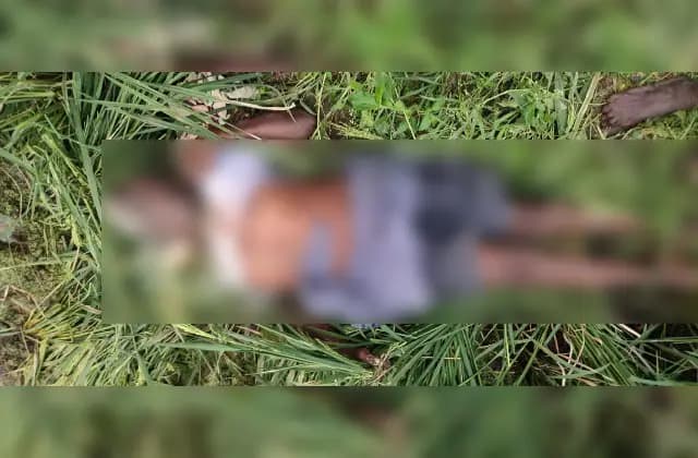 ಮೈಸೂರಿನಲ್ಲಿ ವಿದ್ಯುತ್ ತಂತಿ ತುಳಿದು ರೈತ ದಾರುಣ ಸಾವು