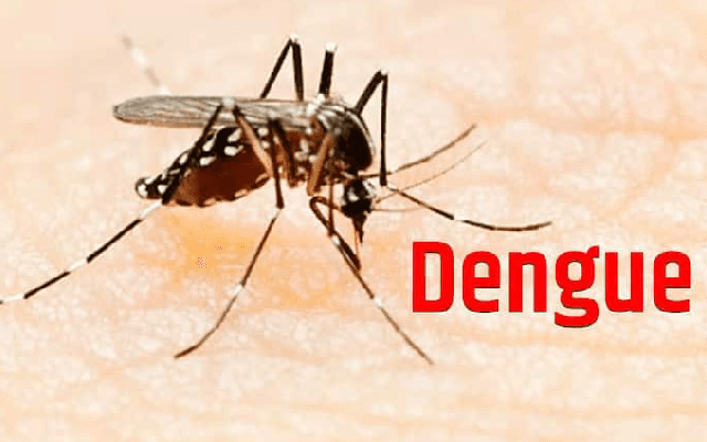 ರಾಜ್ಯದಲ್ಲಿ ಕಳೆದ 24 ಗಂಟೆಗಳಲ್ಲಿಇಂದು 487 ‘ಡೆಂಘಿ’ ಕೇಸ್ ದಾಖಲು !