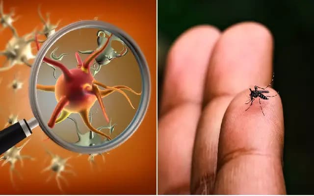 ಡೆಂಗ್ಯೂ ಹಾವಳಿ ನಡುವೆ ಚಾಂದಿಪುರ ವೈರಸ್ ಭೀತಿ : ಇದುವರೆಗೆ 6 ಮಕ್ಕಳು ಬಲಿ