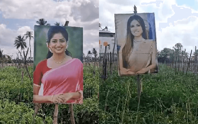 ರೈತನ ತೋಟ ಕಾಯುತ್ತಿದ್ದಾರೆ ನಟಿ ರಚಿತಾ ರಾಮ್​, ಸನ್ನಿ ಲಿಯೋನ್