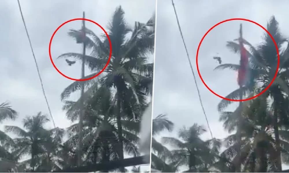 ಕಂಬಕ್ಕೆ ಸಿಲುಕಿದ ತ್ರಿವರ್ಣ ಧ್ವಜ : ಮಿಂಚಿನಂತೆ ಬಂದು ಧ್ವಜ ಬಿಡಿಸಿದ ಹಕ್ಕಿ!