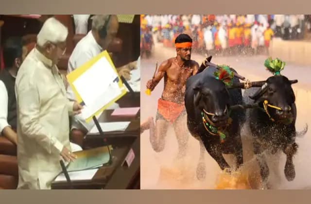 ಕಂಬಳಕ್ಕೆ ಸರ್ಕಾರದಿಂದ ಅನುದಾನ ಬಿಡುಗಡೆ: ಸಚಿವ ಹೆಚ್‌.ಕೆ ಪಾಟೀಲ್‌