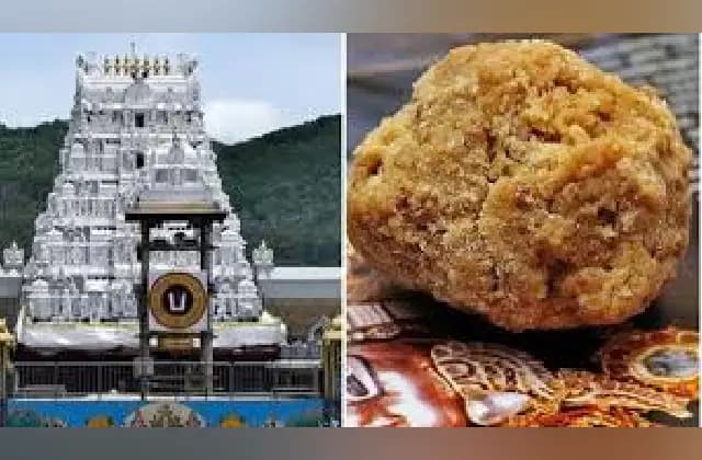ಪ್ರಾಣಿಗಳ ಕೊಬ್ಬು ಬಳಸಿ ತಿರುಪತಿಯಲ್ಲಿ ಲಡ್ಡು ತಯಾರಿ: ವರದಿಯಲ್ಲಿ ದೃಢ