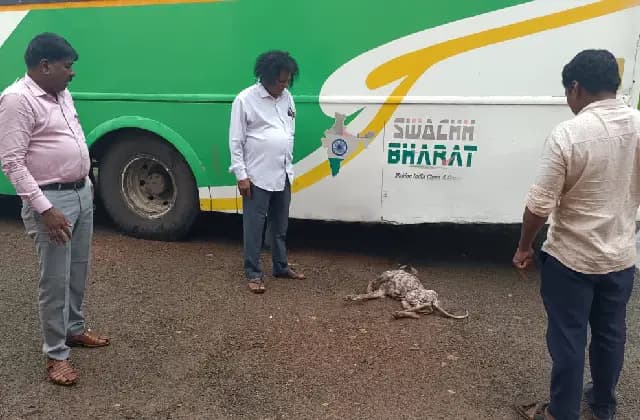 ಉಡುಪಿ: ಎಂಟು ಮಂದಿಗೆ ಹುಚ್ಚು ನಾಯಿ ಕಡಿತ; ಆತಂಕ ಸೃಷ್ಟಿ