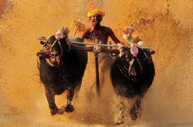 ಕರಾವಳಿಯ ಪ್ರತಿ ಕಂಬಳಕ್ಕೂ 5 ಲಕ್ಷ ರೂ. ನೀಡಲು ರಾಜ್ಯ ಸರ್ಕಾರ ಆದೇಶ