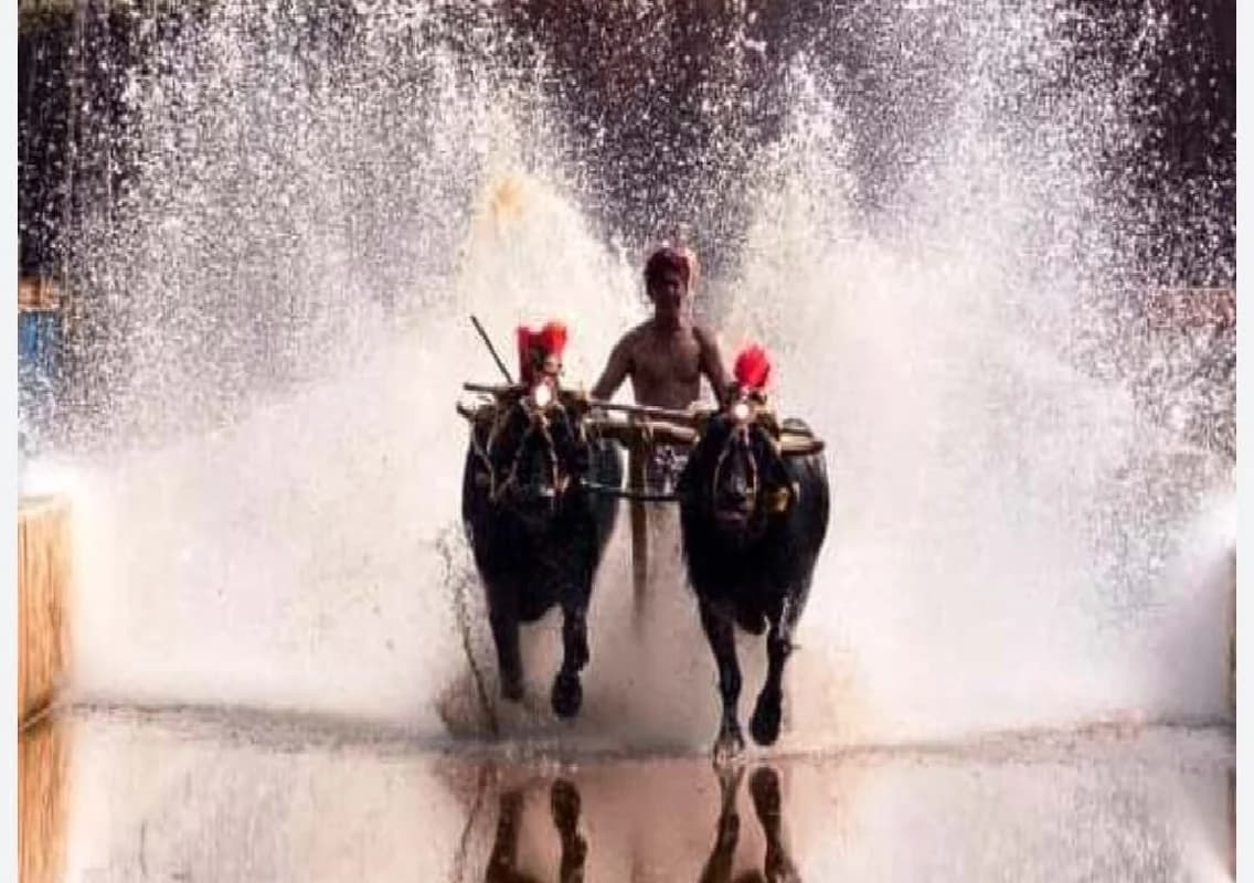 ಮಾ. 4ರಂದು ಉಡುಪಿ ಕಂಬಳದ ಶಂಕುಸ್ಥಾಪನೆ