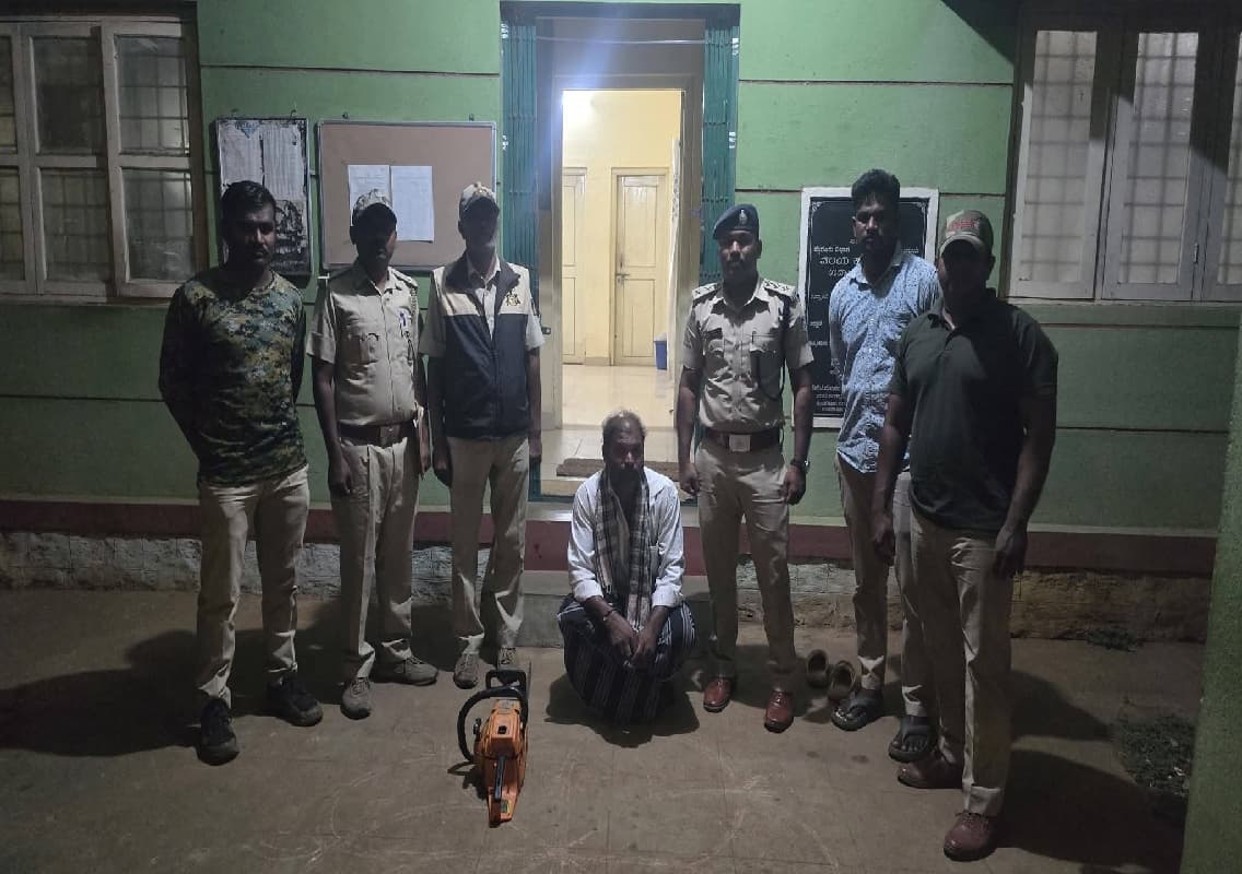 ಮರಗಳ ಹನನ ಪ್ರಕರಣ, ಓರ್ವನ ಬಂಧನ; ಕೊನೆಗೂ ಎಚ್ಚೆತ್ತ ಅರಣ್ಯ ಇಲಾಖೆ!