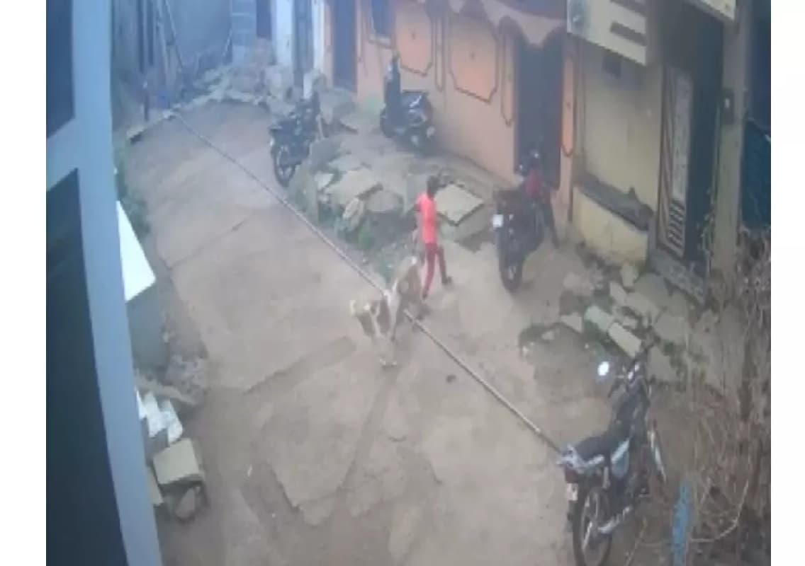 ಆಟವಾಡುತ್ತಿದ್ದ ಮಕ್ಕಳ ಮೆಲೆ ಬೀದಿನಾಯಿಗಳು ದಾಳಿ!