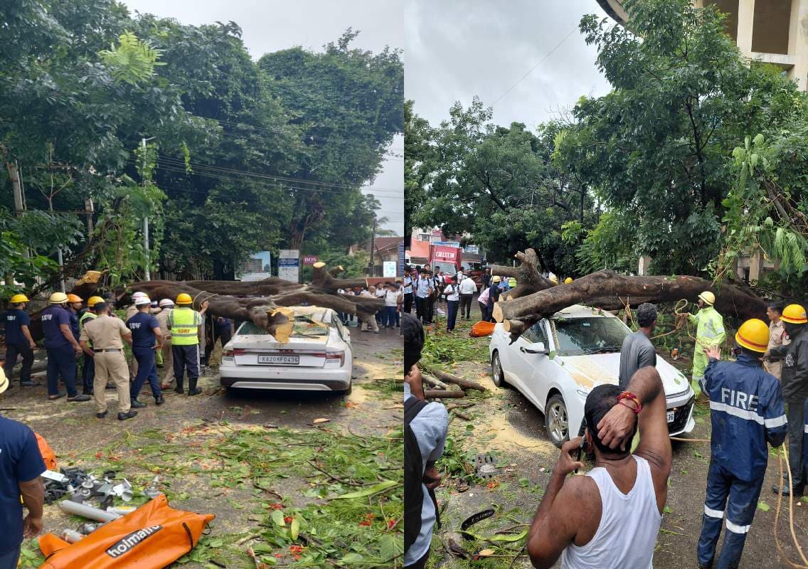ಬಾವುಟಗುಡ್ಡೆ: ಕಾರಿನ ಮೇಲೆ ಬಿದ್ದ ಮರ, ಪ್ರಾಣಾಪಾಯದಿಂದ ಪಾರಾದ ಚಾಲಕ