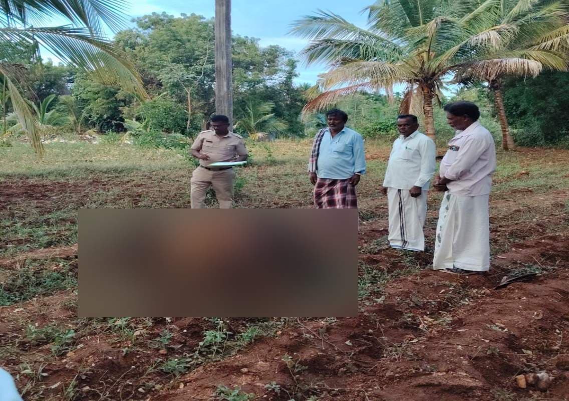 ವಿದ್ಯುತ್ ಕಂಬದ ಗ್ರೌಂಡಿಂಗ್‌ನಿಂದ ಹಸು ಸಾವು; ರೈತನಿಗೆ ಪರಿಹಾರ ನೀಡುವಂತೆ ಆಗ್ರಹ