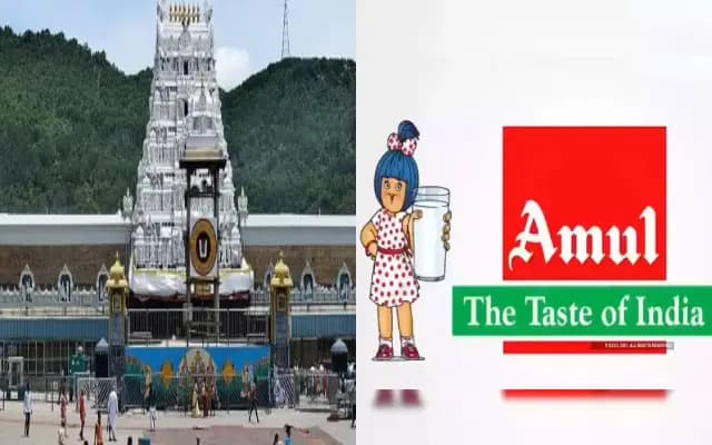 ತಿರುಪತಿಗೆ ನಾವು ತುಪ್ಪ ಪೂರೈಕೆ ಮಾಡಿಲ್ಲ: ಅಮುಲ್ ಸ್ಪಷ್ಟನೆ