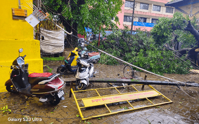 ಗಾಳಿ ಮಳೆಗೆ ರಿಕ್ಷಾದ ಮೇಲೆ ಉರುಳಿಬಿದ್ದ ಮರ; ಪವಾಡ ಸದೃಶ ರೀತಿಯಲ್ಲಿ ಆಟೊ ಚಾಲಕ ಪಾರು