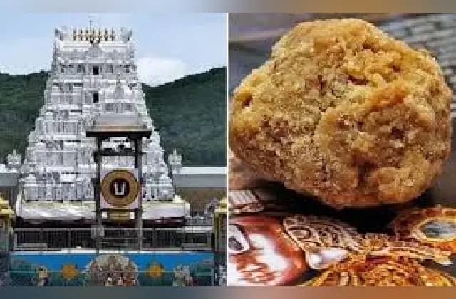 ರಾಜ್ಯದ ದೇವಾಲಯಗಳಲ್ಲಿ ತಿರುಪತಿ ಲಡ್ಡು ಬಳಸದಂತೆ ಅರ್ಚಕರ ಒಕ್ಕೂಟ ನಿರ್ಧಾರ!