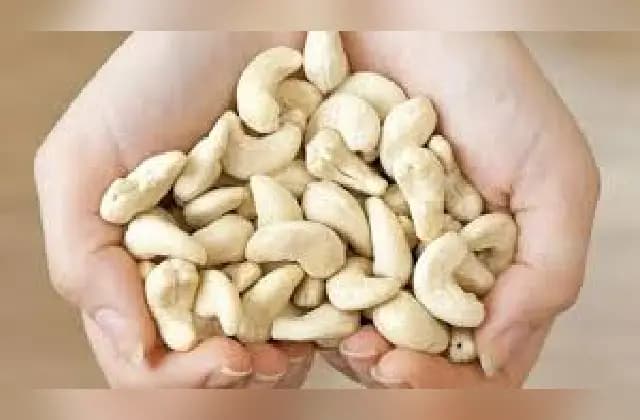 ಗೋಡಂಬಿ ತಿನ್ನುವುದರಿಂದ ಆರೋಗ್ಯಕ್ಕೆ ಏನೆಲ್ಲಾ ಪ್ರಯೋಜನಗಳಿವೆ ಗೊತ್ತಾ?