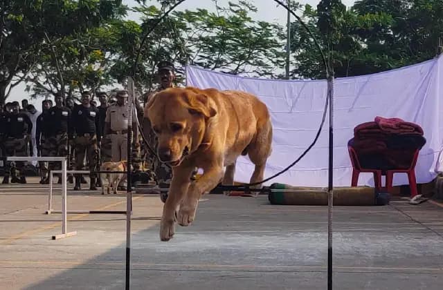 ಮಂಗಳೂರು: ಕೆ 9 ಹೀರೋ ಜಾಕ್ ಇನ್ನಿಲ್ಲ: ಭಾವನಾತ್ಮಕ ವಿದಾಯ