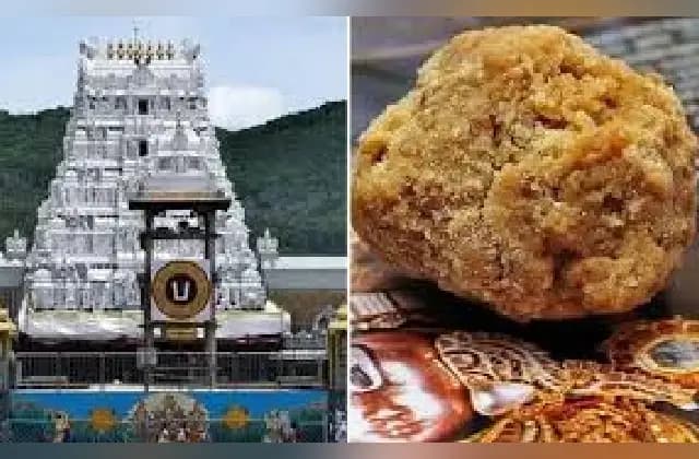 ಸೆ. 20ರಿಂದ 4 ದಿನದಲ್ಲಿ 13 ಲಕ್ಷ ತಿರುಪತಿ ಲಡ್ಡು ಸೇಲ್!