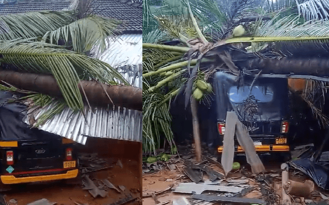 ಉಡುಪಿ: ತೆಂಗಿನ ಮರ ಬಿದ್ದು ಮನೆ, ಎರಡು ರಿಕ್ಷಾಗಳಿಗೆ ಹಾನಿ