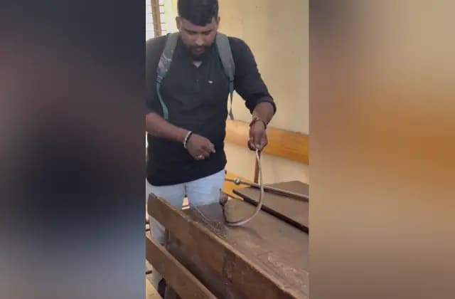 ಪುತ್ತೂರು: ವಿವೇಕಾನಂದ ಪದವಿ ಕಾಲೇಜಿನಲ್ಲಿ ತರಗತಿಗೆ ನುಗ್ಗಿದ ನಾಗರಹಾವು