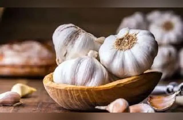 2 ರಾಜ್ಯಗಳಲ್ಲಿ ಧಾರಾಕಾರ ಮಳೆಯಿಂದ ಬೆಳ್ಳುಳ್ಳಿ ಬೆಲೆ ಏರಿಕೆ!
