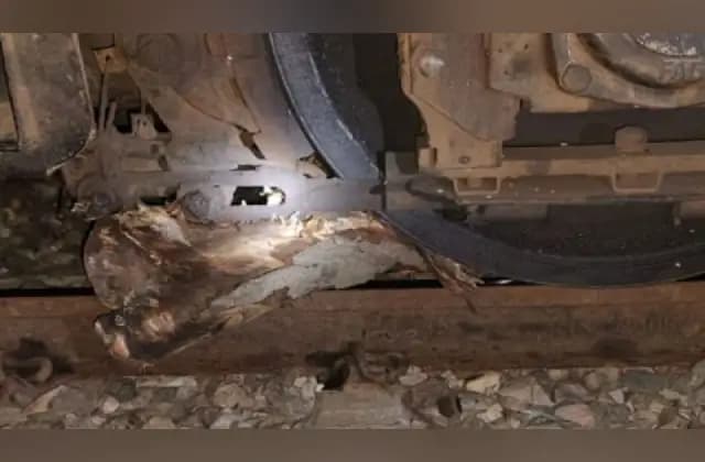 ರೈಲು ಹಳಿಗಳ ಮೇಲೆ ಮರದ ದಿಮ್ಮಿ ಹಾಕಿ ಹಳಿ ತಪ್ಪಿಸಲು ಯತ್ನ: ಆರೋಪಿಗಳು ವಶಕ್ಕೆ