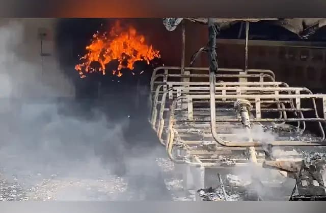 ಪಿಲಿಕುಳ ನಿಸರ್ಗಧಾಮದ ಟಿಕೆಟ್ ಕೌಂಟರ್ ಬಳಿ ಅಗ್ನಿ ಅವಘಡ: ಎರಡು ಎಲೆಕ್ಟ್ರಿಕ್ ವಾಹನ ಭಸ್ಮ
