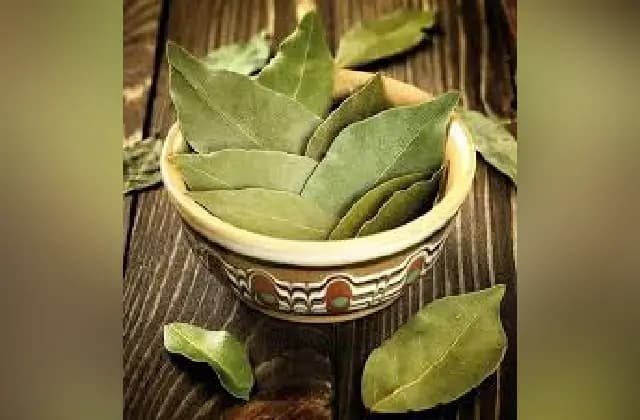 ಬಿರಿಯಾನಿ ಎಲೆ ಆರೋಗ್ಯಕ್ಕೆ ಹಲವಾರು ರೀತಿಯಲ್ಲಿ ಪ್ರಯೋಜನಕಾರಿ!