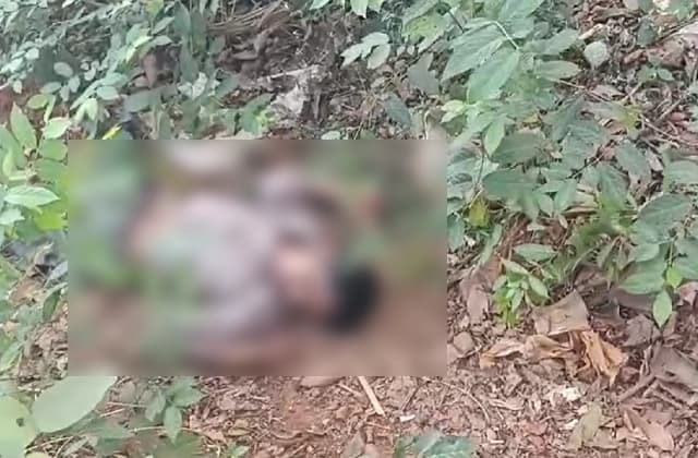 ಸುಳ್ಯ : ಮಗನಿಗೆ ಗುರಿಯಿಟ್ಟ ಕೋವಿಗೆ ಪತ್ನಿ ಬಲಿ – ವಿಷ ಸೇವಿಸಿ ಪತಿ ಆತ್ಮಹತ್ಯೆ