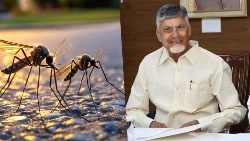 ಆಂಧ್ರದಲ್ಲಿ ಸೊಳ್ಳೆಗಳ ಮೇಳೆ ನಿಗಾ ಇಡಲು AI ಬಳಕೆ..!