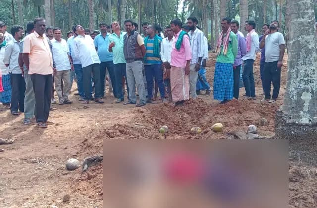 ತೆಂಗಿನ ಮರದಿಂದ ಬಿದ್ದು ವ್ಯಕ್ತಿ ಸಾವು…!
