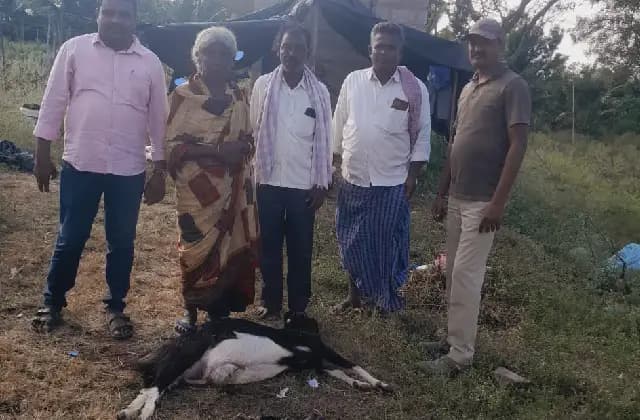 ಮೈಸೂರಿನಲ್ಲಿ ಮತ್ತೆ ಮುಂದುವರೆದ ಕಾಡು ಪ್ರಾಣಿಗಳ ದಾಳಿ!