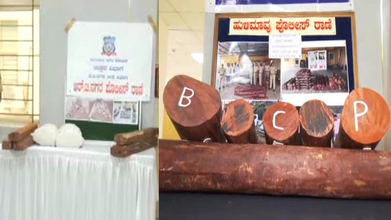 ಅಕ್ರಮ ರಕ್ತಚಂದನ ಸಾಗಾಟ; ನಾಲ್ವರು ಅರೆಸ್ಟ್!