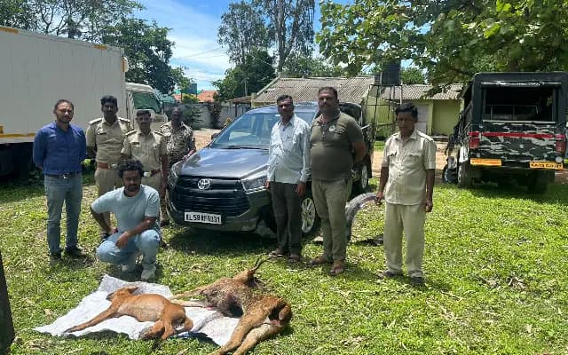 ಕಾರು ಡಿಕ್ಕಿಯಾಗಿ ಜಿಂಕೆ, ಸೀಳುನಾಯಿ ಸಾವು: ಕೇರಳ ಕಾರು ಚಾಲಕನ ಬಂಧನ