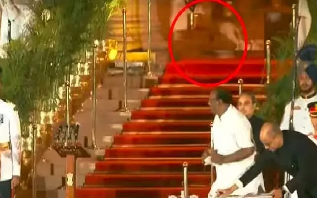 ರಾಷ್ಟ್ರಪತಿ ಭವನದಲ್ಲಿ ಕಾಣಿಸಿಕೊಂಡ ಪ್ರಾಣಿ ಬಗ್ಗೆ ಡೆಲ್ಲಿ ಪೊಲೀಸ್‌ ಸ್ಪಷ್ಟನೆ