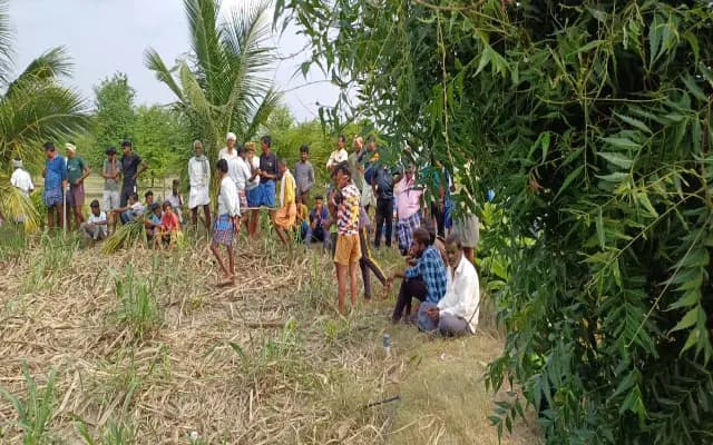 ಜಮೀನಿನಲ್ಲಿ ಚಿರತೆ ಪ್ರತ್ಯಕ್ಷ: ದಿಕ್ಕಾಪಾಲಾಗಿ ಓಡಿದ ಜನ