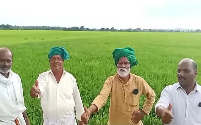 ನದಿ ನೀರಿಗೆ ಅವಲಂಬಿತರಾಗದೆ ಮಳೆ ನೀರಿನಿಂದ ಭತ್ತ ಬೆಳೆದ ರೈತರು