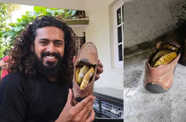 ವಿಷಜಂತು ಕಾಟದಿಂದ ಬೇಸತ್ತ ಜನರು: ಹಾವುಗಳು ಕಂಡುಬಂದರೆ ಈ ಸಹಾಯವಾಣಿಗೆ ಕರೆ ಮಾಡಿ
