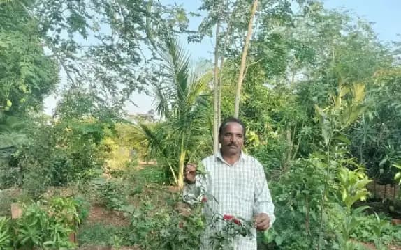 ಸಾಂಪ್ರಾದಾಯಿಕ,  ತೋಟಗಾರಿಕಾ  ಬೆಳೆ ಬೆಳೆದು ಅಧಿಕ ಲಾಭ ಪಡೆದ ರೈತ