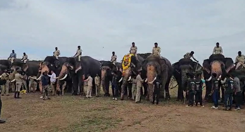 ಮೈಸೂರು ದಸರಾ ಮಹೋತ್ಸವ 2025; ಗಜಪಡೆ, ಅಶ್ವಾರೋಹಿ ದಳಕ್ಕೆ ಎರಡನೇ ಹಂತದ ತಾಲೀಮು - News Karnataka