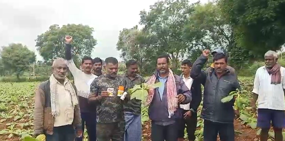 ಮೈಸೂರು : ಕೈಗೆ ಬಂದ ತುತ್ತು ಬಾಯಿಗೆ ಬರೋ ಮುಂಚೆಯೇ ಕುತ್ತು…! - News Karnataka