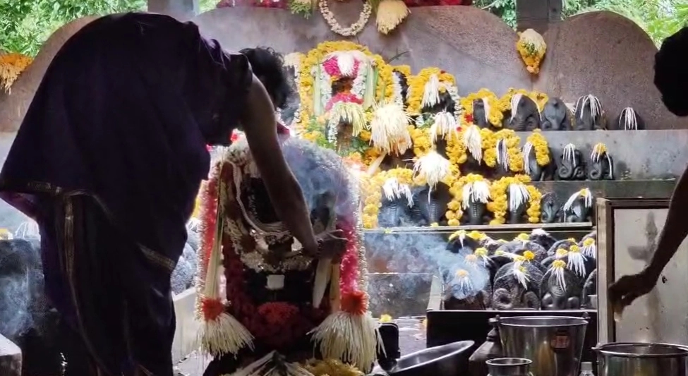 ಉಡುಪಿ ಜಿಲ್ಲೆಯಾದ್ಯಂತ ಶ್ರದ್ಧಾಭಕ್ತಿಯಿಂದ ನಾಗರಪಂಚಮಿ ಆಚರಣೆ - News Karnataka