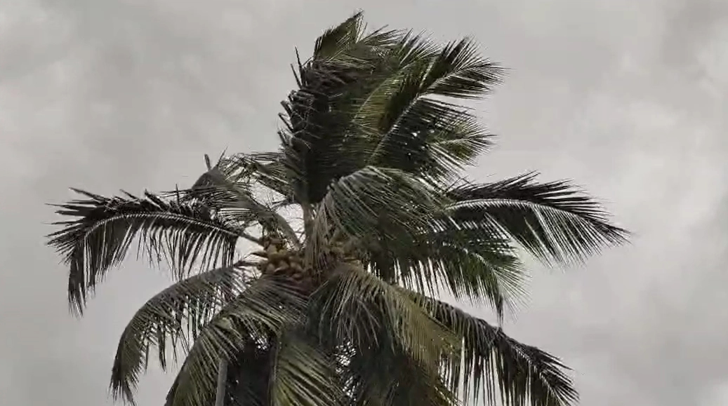 ಉಡುಪಿ: ಗುಡುಗು ಮಿಂಚು ಸಹಿತ ಉತ್ತಮ ಮಳೆ- 2 ದಿನ ಎಲ್ಲೋ ಅಲರ್ಟ್ - News Karnataka