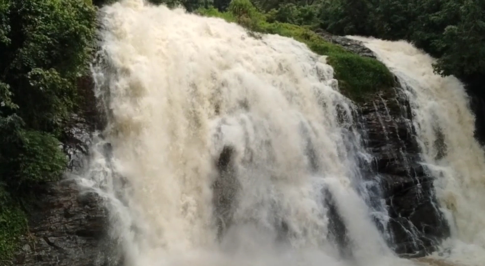 ಕೊಡಗಿನಲ್ಲಿ ಜೋರು ಮಳೆ : ಭೋರ್ಗರೆಯುತ್ತಿದೆ ಅಬ್ಬಿ ಫಾಲ್ಸ್! - News Karnataka