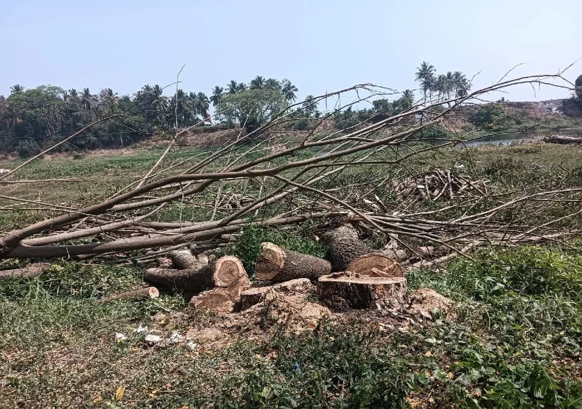 ಉಡುಪಿ: ಕಾಲೇಜಿಗೆ ಶುಲ್ಕ ಪಾವತಿಸಲು ಹೋಗಿದ್ದ ಯುವತಿ ನಾಪತ್ತೆ - News Karnataka