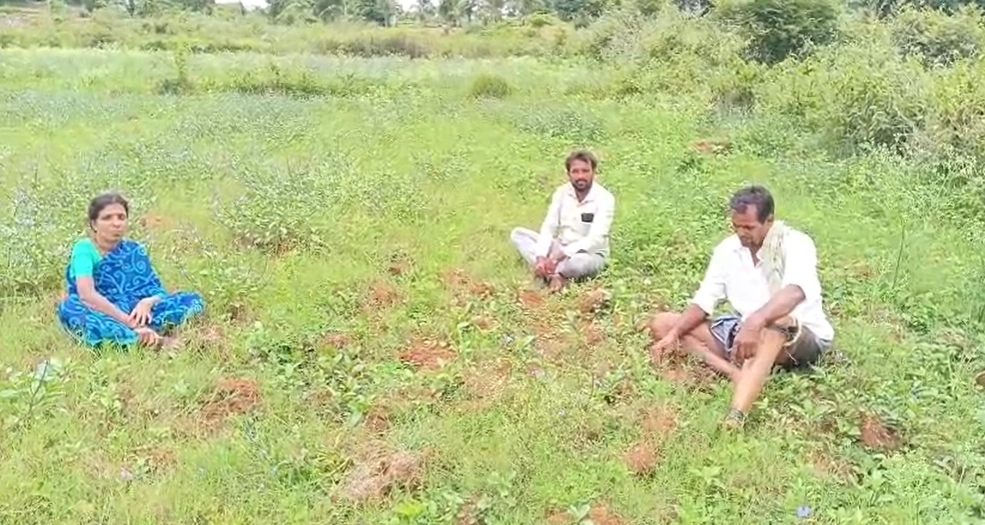 ಬಡವರ ಕೃಷಿ ಭೂಮಿಯ ಮೇಲೆ ಕಣ್ಣಿಟ್ಟ ನೆರೆಹೊರೆಯವರು! - News Karnataka