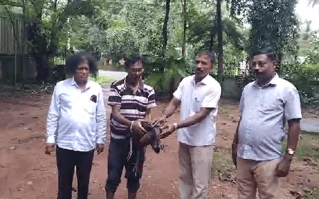 ಉಡುಪಿ: ಬೀದಿ ನಾಯಿಯಿಂದ ದಾಳಿಗೊಳಗಾದ ಹೆಣ್ಣು ನವಿಲಿನ ರಕ್ಷಣೆ - News Karnataka