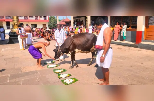 ಪೊಳಲಿ ಶ್ರೀ ರಾಜರಾಜೇಶ್ವರಿ ದೇವಸ್ಥಾನದಲ್ಲಿ ಸುಬ್ರಹ್ಮಣ್ಯ ಷಷ್ಟಿ ಮಹೋತ್ಸವ - News Karnataka