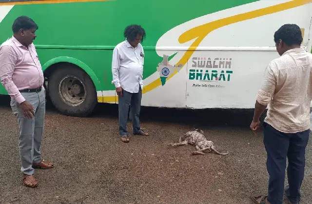 ಉಡುಪಿ: ಎಂಟು ಮಂದಿಗೆ ಹುಚ್ಚು ನಾಯಿ ಕಡಿತ; ಆತಂಕ ಸೃಷ್ಟಿ - News Karnataka