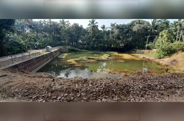 ಅಮ್ಟಾಡಿ ಕಿನ್ನಿಮಜಲು ಕೆರೆಗೆ ಮರುಜೀವ : ಪ್ರೇರಣೆ ನೀಡಿದ್ದು ಮಂಗಳೂರಿನ ಆಶಾ ಪ್ರಕಾಶ್ ಶೆಟ್ಟಿ ಅವರ ನೆರವು ಯೋಜನೆ - News Karnataka